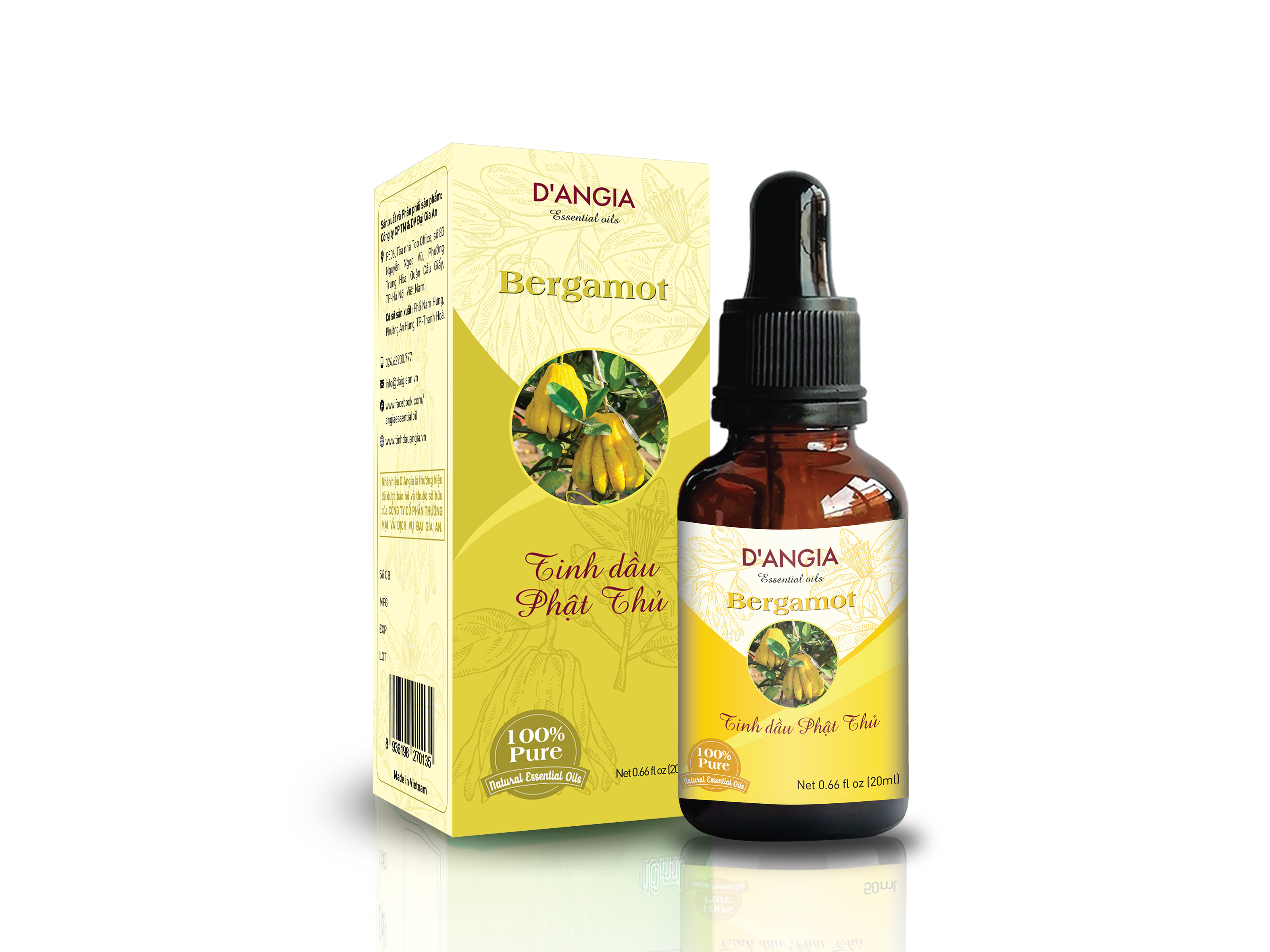 Hướng dẫn phân biệt tinh dầu thiên nhiên nguyên chất và tinh dầu giả.